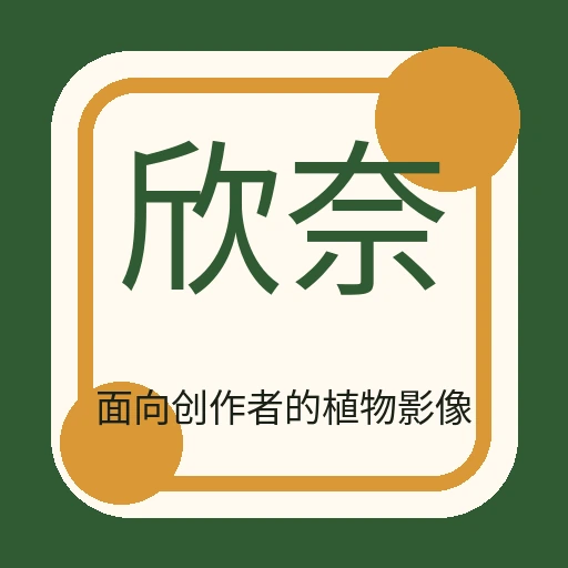 欣奈文创